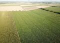 Paisagem agrícola vista do alto, imagem ilustrativa para matéria sobre remoção de carbono em projetos rurais no Brasil