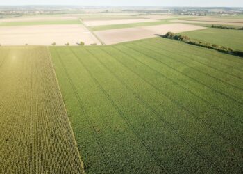 Paisagem agrícola vista do alto, imagem ilustrativa para matéria sobre remoção de carbono em projetos rurais no Brasil