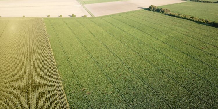 Paisagem agrícola vista do alto, imagem ilustrativa para matéria sobre remoção de carbono em projetos rurais no Brasil