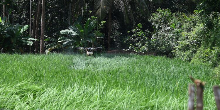 Drone agrícola sobre plantação, imagem ilustrativa de tecnologia aplicada à agricultura