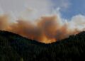 Grande coluna de fumaça causada por incêndio em área florestal, imagem ilustrativa para matéria sobre incêndios em turfeiras na Indonésia