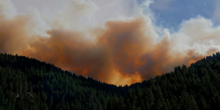 Grande coluna de fumaça causada por incêndio em área florestal, imagem ilustrativa para matéria sobre incêndios em turfeiras na Indonésia