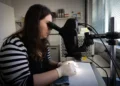 Profissional de laboratório analisa amostra em microscópio durante vigilância de arboviroses