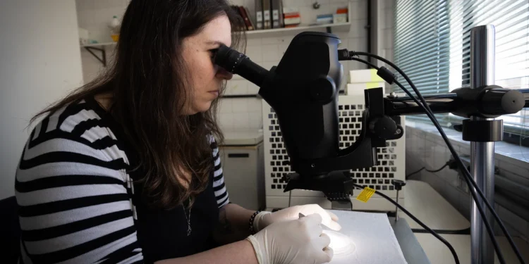 Profissional de laboratório analisa amostra em microscópio durante vigilância de arboviroses