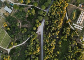 Vista aérea de floresta e áreas agrícolas, imagem ilustrativa para matéria sobre mudanças de uso do solo na Mata Atlântica