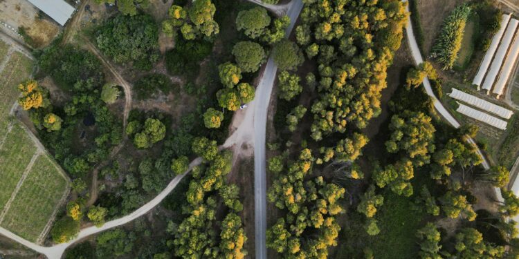 Vista aérea de floresta e áreas agrícolas, imagem ilustrativa para matéria sobre mudanças de uso do solo na Mata Atlântica